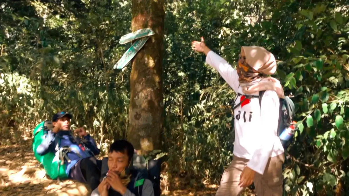 Suasana Pos 2 Cikuray yang sudah tertutup pohon