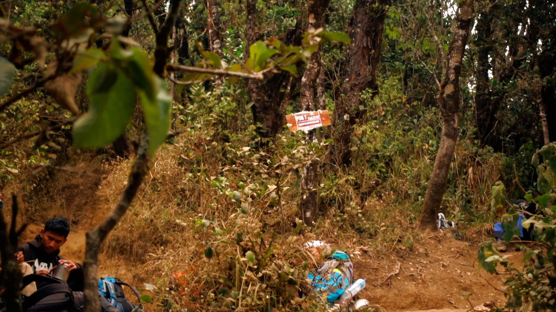 Pos 7 Gunung Cikuray juga bisa dimanfaatkan oleh pendaki untuk mendirikan tenda