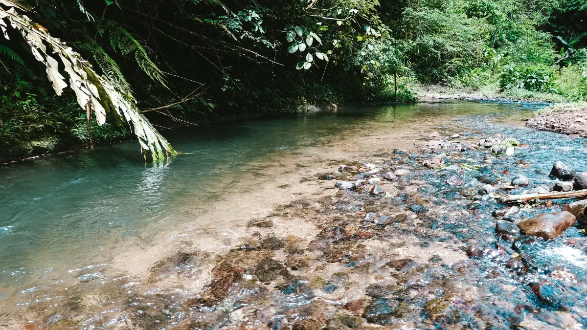 Camping ground Citalahab Central Desa Malasari dekat dengan sungai jernih