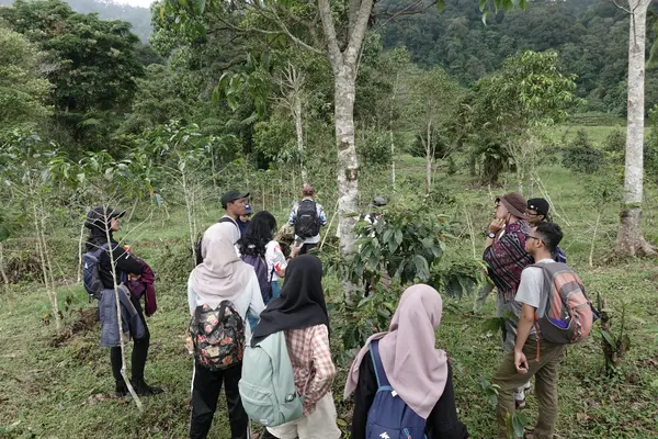 Tiba di kebun kopi cibulao Tiba di kebun kopi cibulao