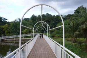 Skydeck jadi area selfie di Danau Situ Gede Bogor Jawa Barat