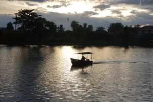 Suasana sunset di Danau Situ Gede Cifor Dramaga