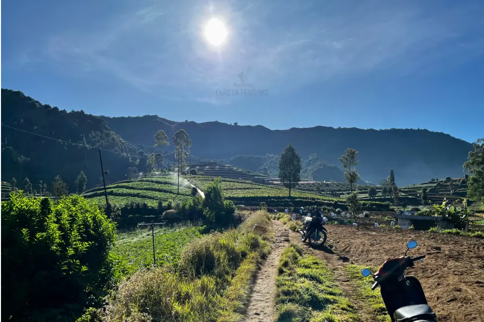 Jalur pendakian dari basecamp ke pos 1 melewati perkebunan warga