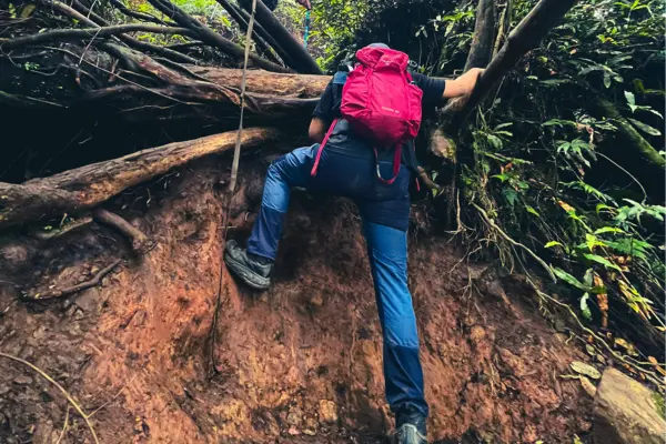 Celana hiking ergonomis membantu pendaki ketika melewati medan memanjat atau sulit