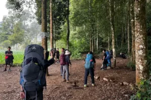 Proses Simaksi Gunung Gede Pangrango