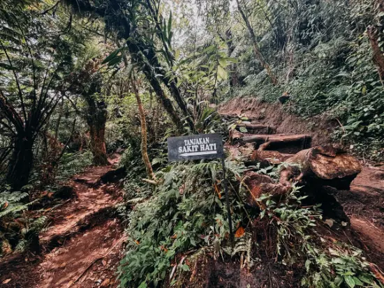 Menuju tanjakan sakit hati Gunung Kembang jalur Lengkong