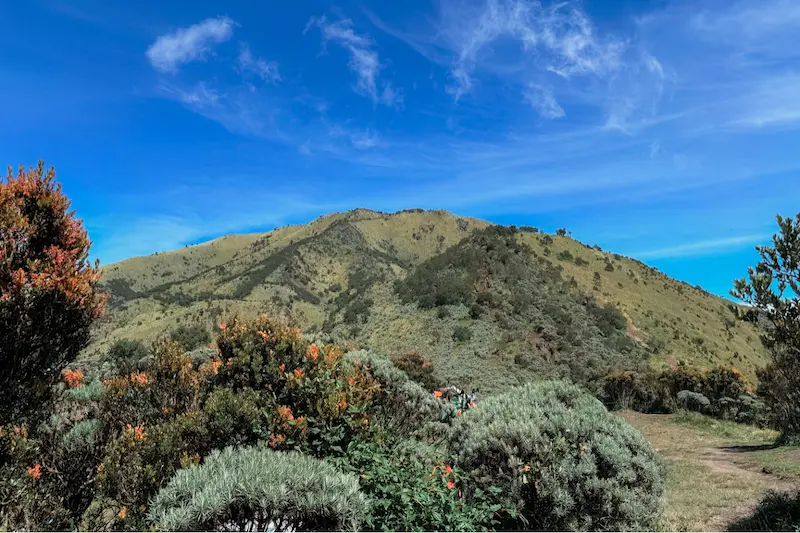 Tampak jalur menuju puncak Merbabu yang terlihat dari Sabana 1