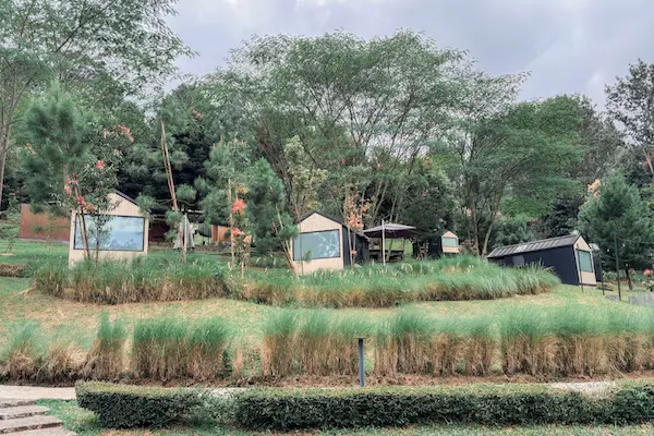 Suasana hijau di cabin area bawah Bobocabin Gunung Mas