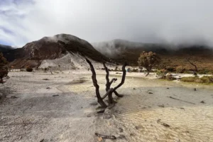 Gunung Papandayan sangat cocok untuk pendakian pertama