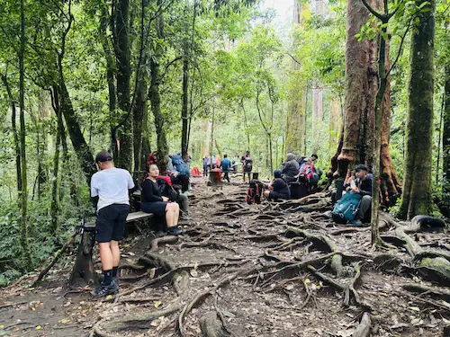 Pos 3 Kayu Manis jalur Gunung Ciremai via Sadarehe